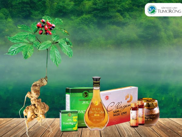 Địa chỉ bán sâm Ngọc Linh tại Hà Nội uy tín, chất lượng?