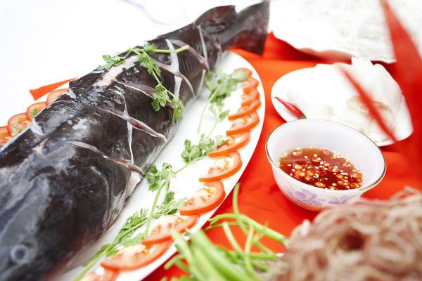 giống cá lăng Hải Phòng
