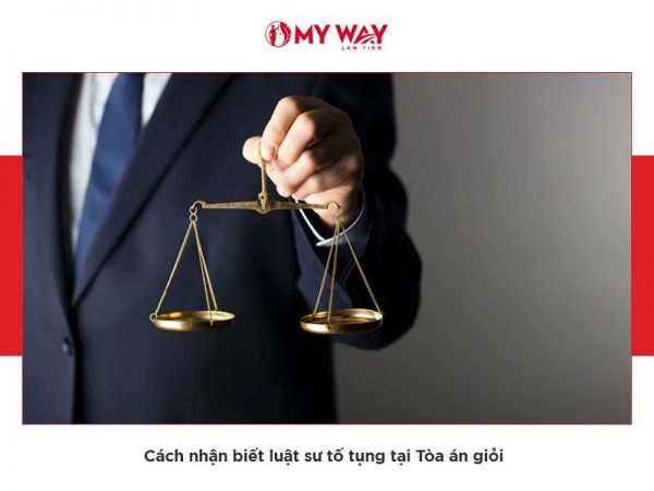 luật sư tố tụng tại Tòa án