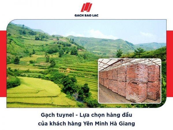 gạch tuynel Yên Minh Hà Giang