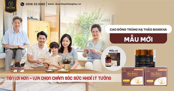 cao đông trùng hạ thảo banikha 