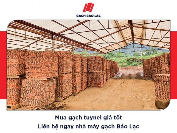 Báo giá gạch tuynel tại nhà máy gạch Bảo Lạc năm 2023