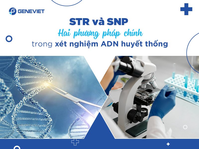 Xét nghiệm huyết thống có khi nào cho kết quả sai không?