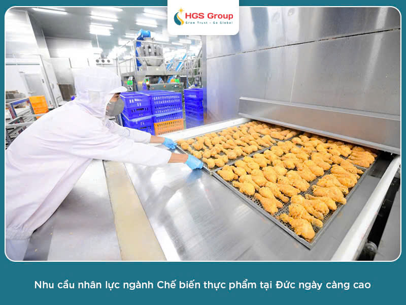 Những ngành nghề phù hợp để chuyển đổi bằng Đức cho người Việt có bằng đại học