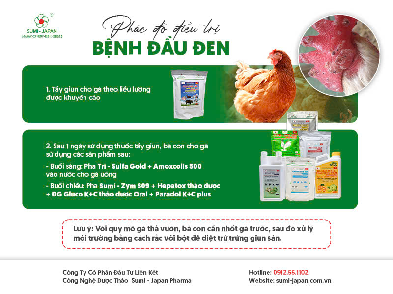 bệnh đầu đen ở gà