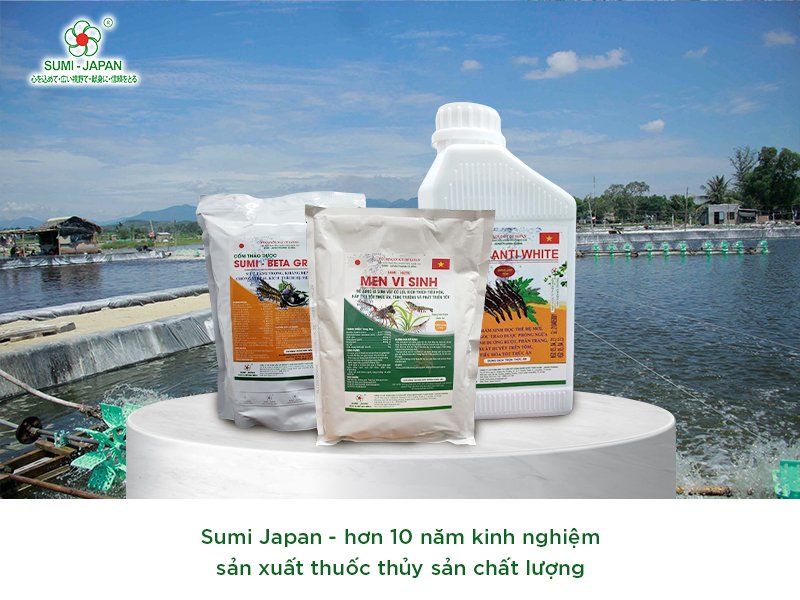 Kháng sinh trong nuôi trồng thủy sản: Sử dụng như thế nào mới đúng, không lạm dụng?