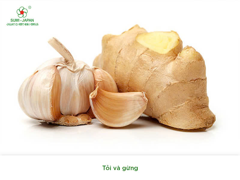 trị bệnh khò khè cho gà chọi 