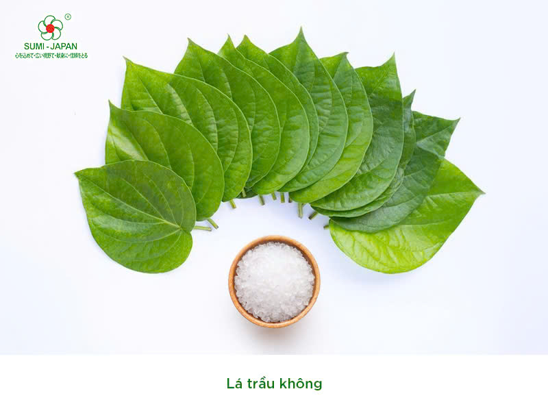 trị bệnh khò khè cho gà chọi 