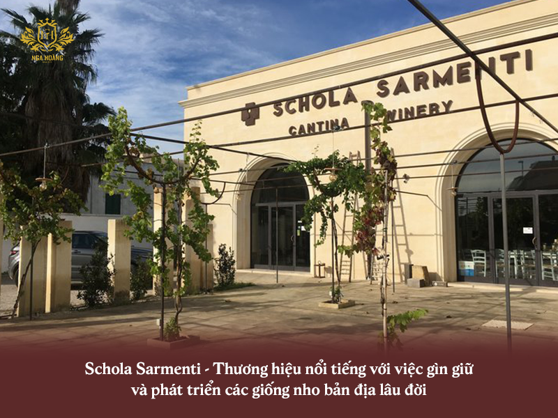 rượu vang Cubardi Primitivo