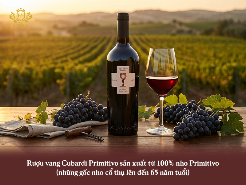 rượu vang Cubardi Primitivo