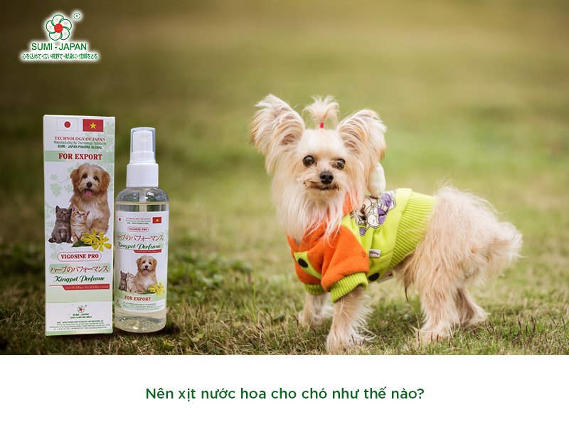 Nước hoa cho chó tại công ty Sumi - Japan Pharma: Sự lựa chọn hàng đầu cho chủ pet shop và người nuôi thú cưng