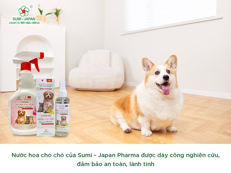 Nước hoa cho chó tại công ty Sumi - Japan Pharma: Sự lựa chọn hàng đầu cho chủ pet shop và người nuôi thú cưng