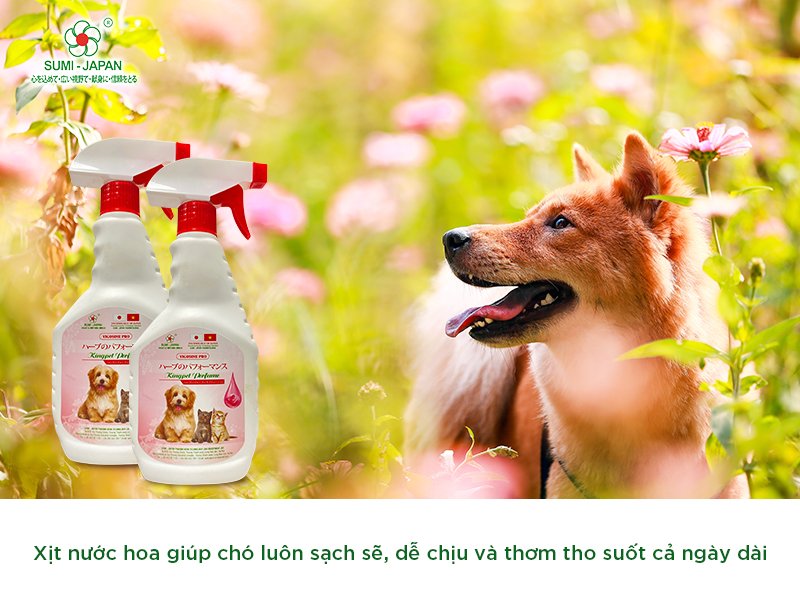 Nước hoa cho chó tại công ty Sumi - Japan Pharma: Sự lựa chọn hàng đầu cho chủ pet shop và người nuôi thú cưng